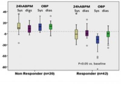 Renal Denervation with Accessories Arteries (1 of 2)
