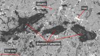 Microphotograph of NWA 7983 Ureilite