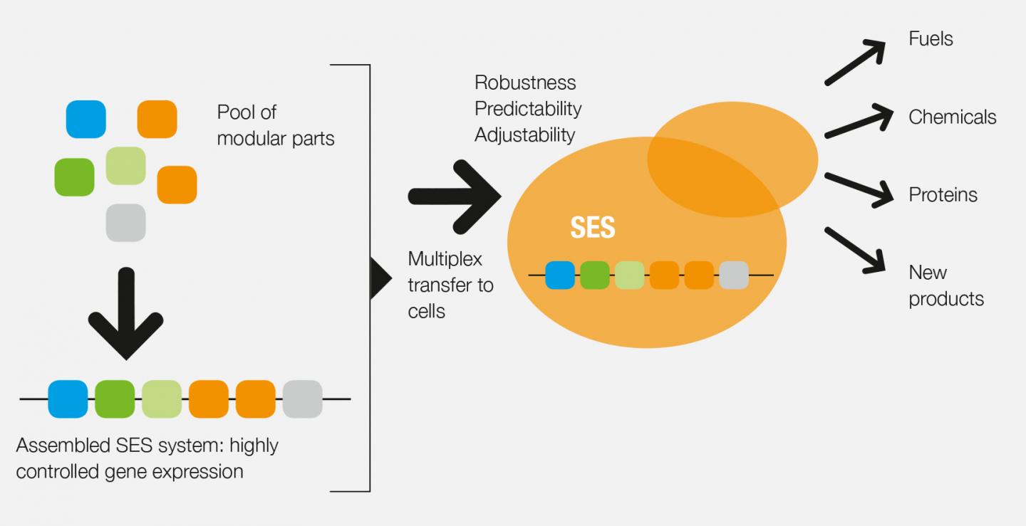 SES System (1 of 2)