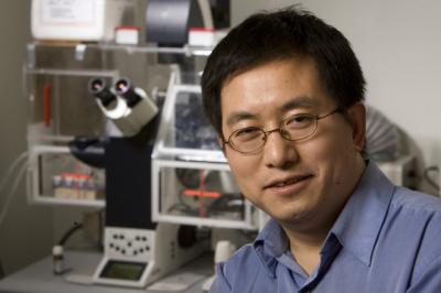 Lingchong You, Duke University