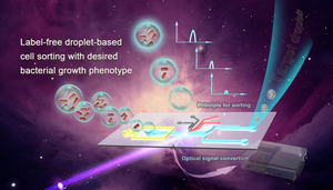 Label-free droplet-based bacterial growth phenotype screening