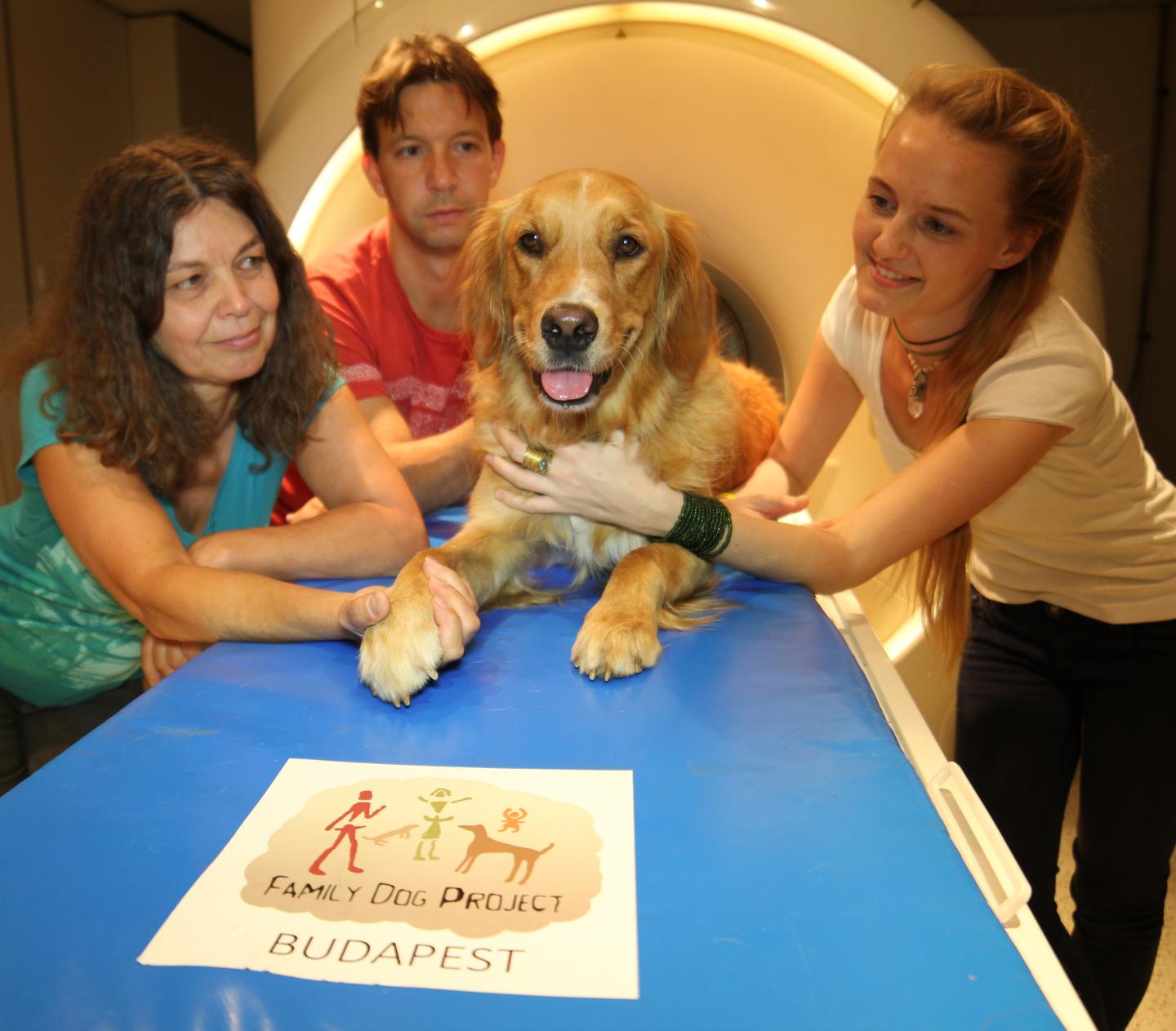 A Dog and Researchers of Eötvös Loránd University