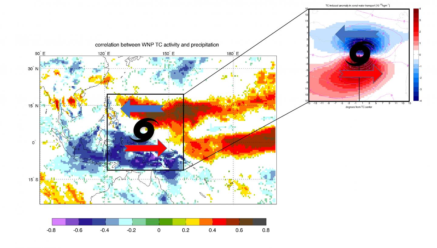 Correlation between Tropical Cyclones' Activity in the West North Pacific and Precipitation