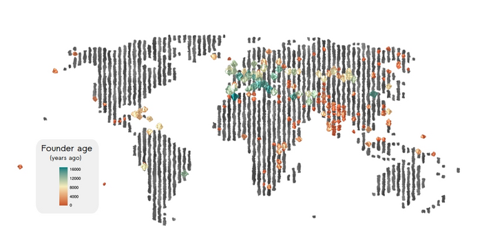 Many human genomes shaped by past events that caused sharp dips in the population