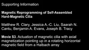 Teaching Magnetic Cilia New Tricks
