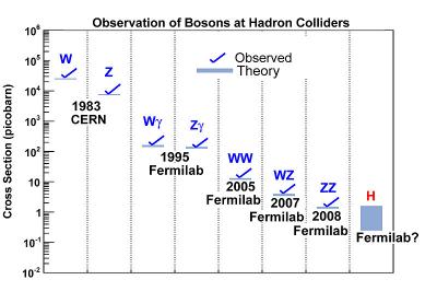 Observation of Bosons at Hadron Colliders