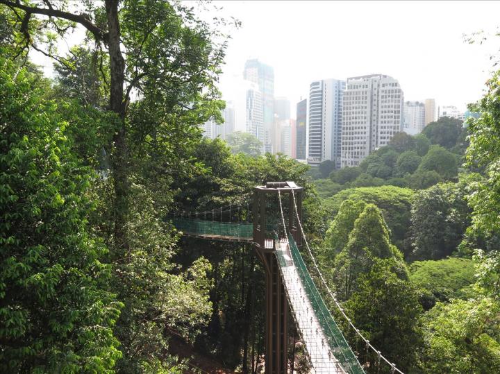 Canopy Walkway at BNFR