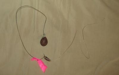 Transmitter Attached to Seeds to Track Dispersal