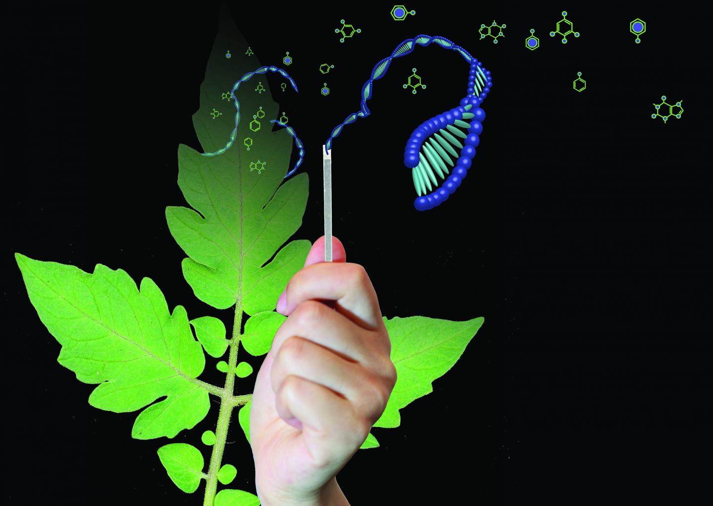 UQ dipstick technology could revolutionize di EurekAlert!