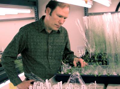 Daniel Gallie, University of California - Riverside