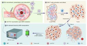 Strategy of using photothermal nanoparticle-based whole tumor cell vaccine for on-demand near-infrared manipulation of immune responses against cancer