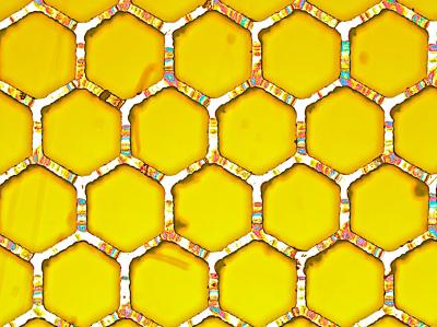 Mannhart JRSE (3 of 3)