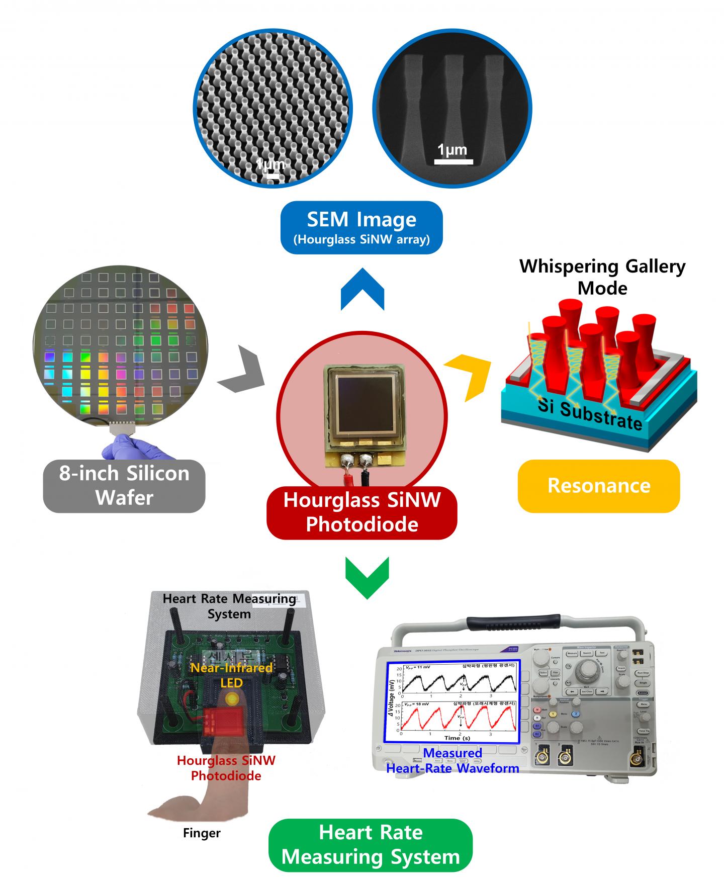 Near-Infrared Photoresponse of Silicon Nanowire Photodiodes (Figure)