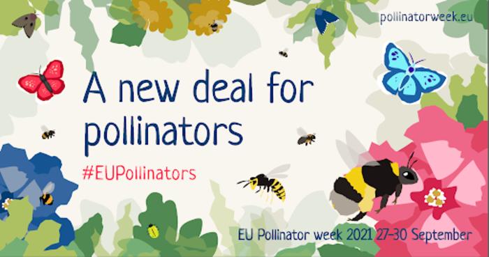 EU Pollinator Week