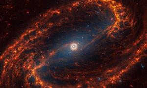 Spiral galaxy NGC 1300