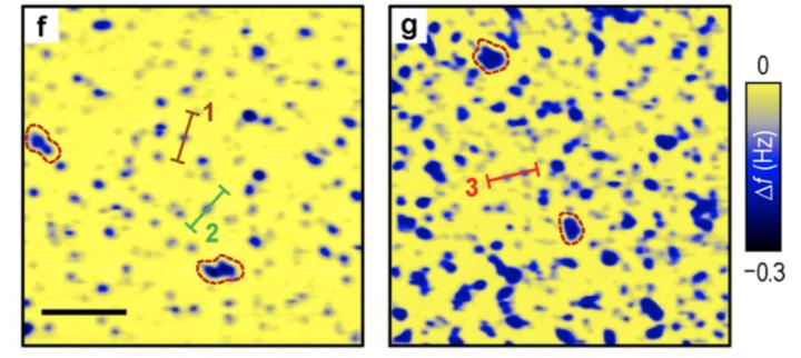 Low and High Density Skyrmions