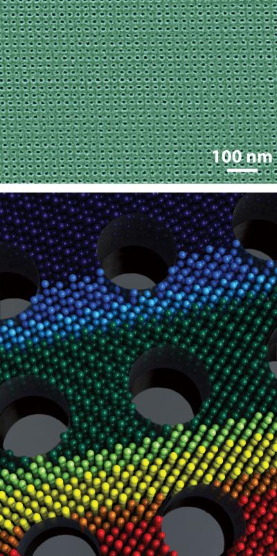 Caltech Researchers Design New Nanomesh Material