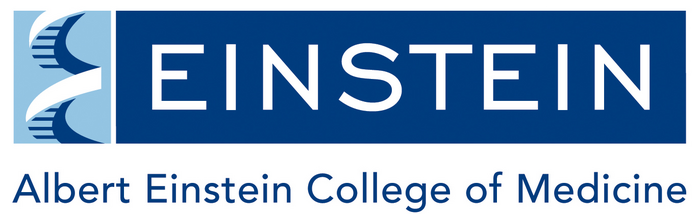Einstein Logo