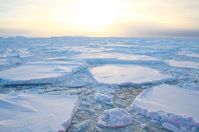 Sea Ice in Antartica