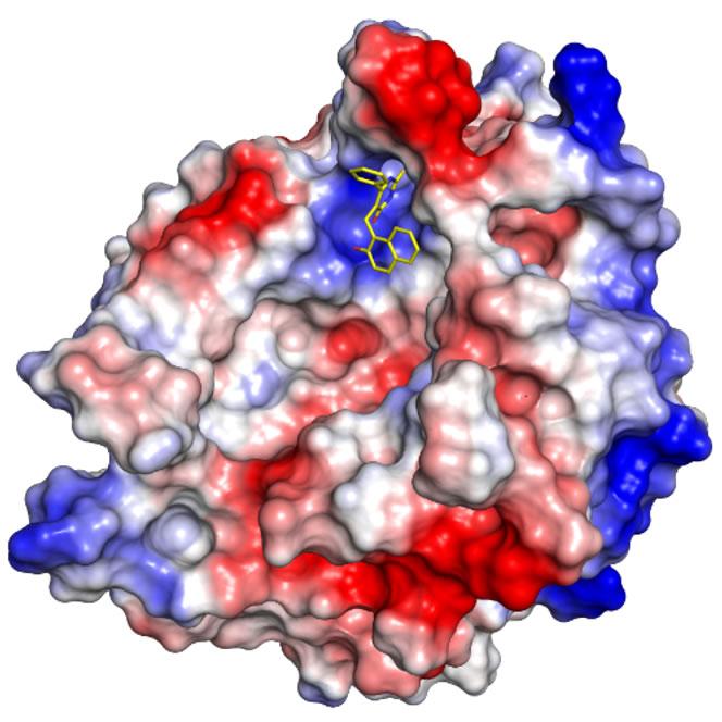 nSMase2 with cambinol Binding