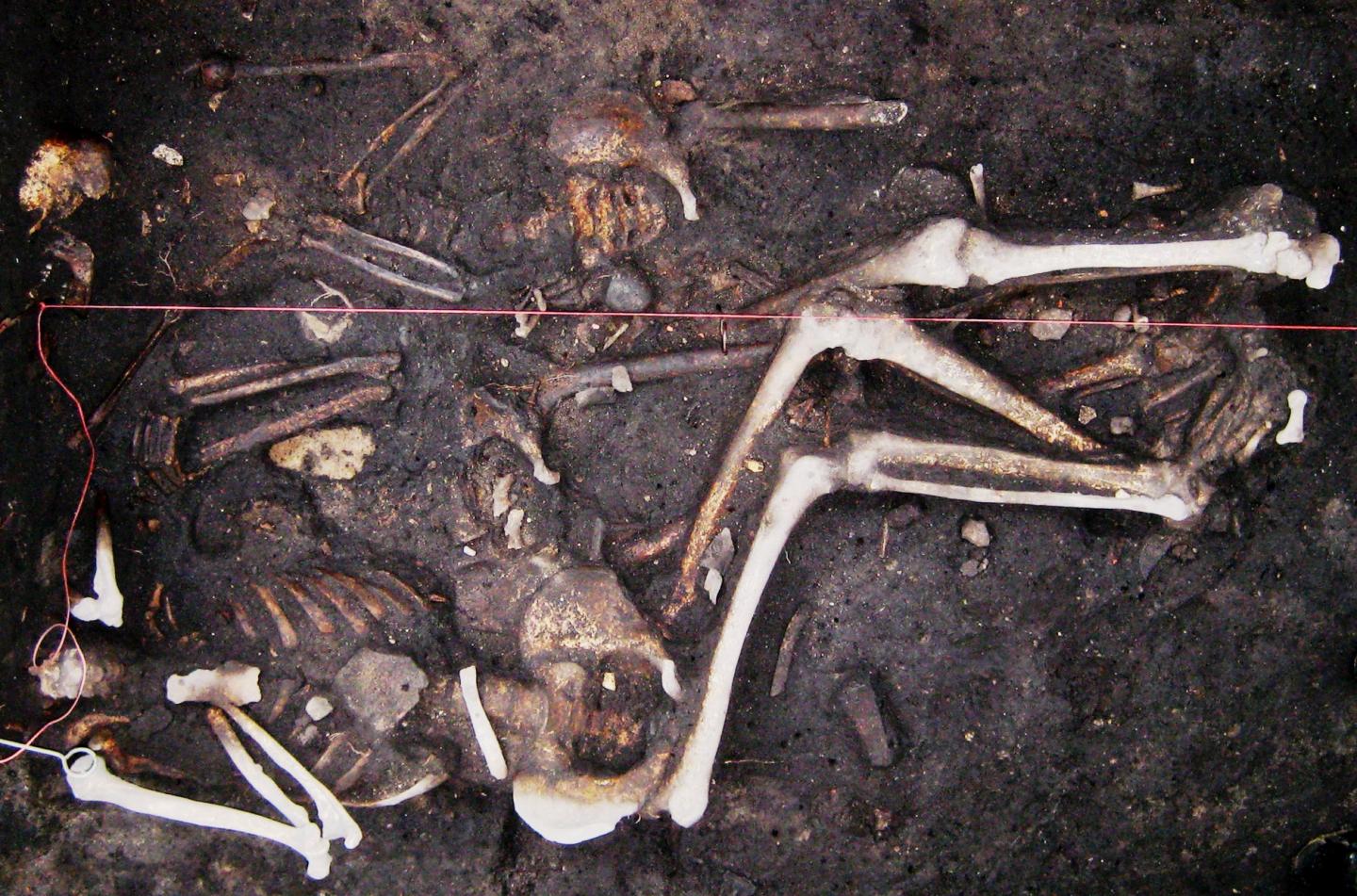 Plague May Have Persisted in Europe During 300-Year Period, Including 