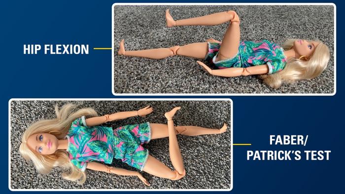 Barbie Telehealth Visual Aid