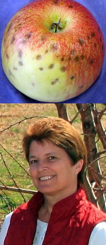 Tara Baugher, Pennsylvania State University