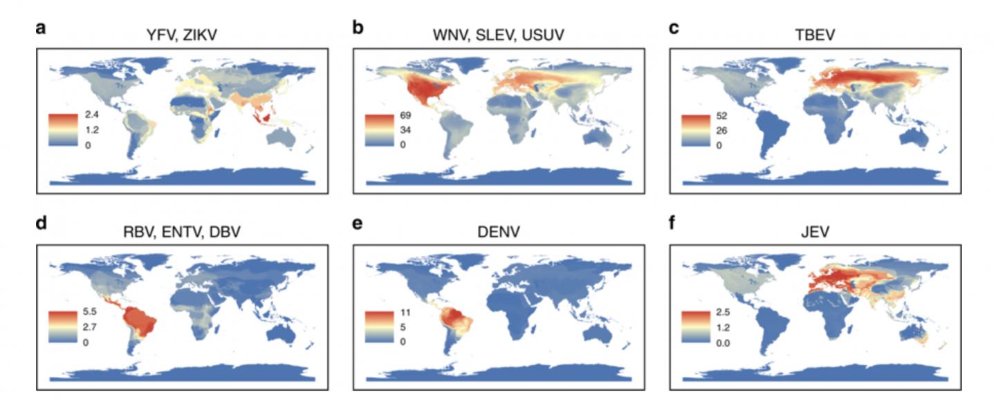 Global Flavivirus Hotspot Map [IMAGE] | EurekAlert! Science News Releases