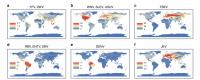 Global Flavivirus Hotspot Map