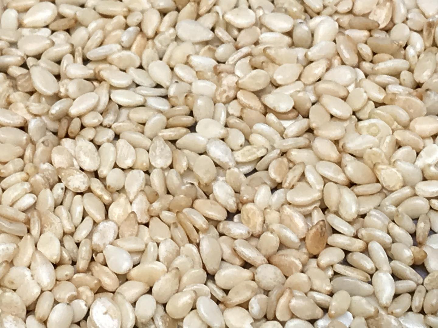 Sesame Seeds