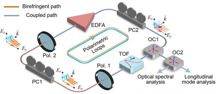 Schematic Diagram of the Proposed Polarimetric PT-Symmetric Photonic System