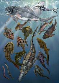 Artistic rendering of <i>Brindablleaspis</i> (foreground) with diversified placoderms and other fishes