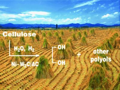Polyols from Biomass