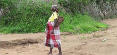 Pregnant Woman in Southern Mozambique, An Endemic Region for Malaria