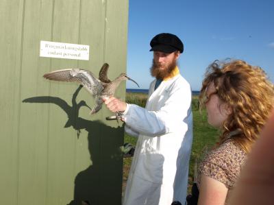 Hitch-Hiking with Birds for Life