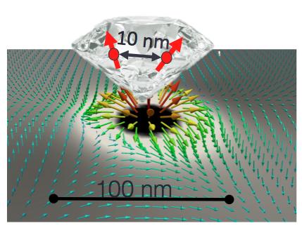 Diamond Nanoparticle Coupled with Magnetic Vortex