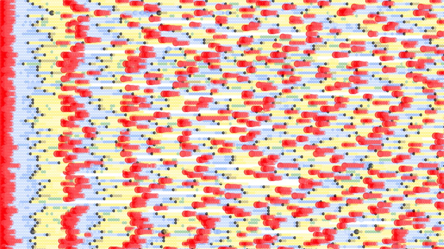 Visualizing the Data from the Modelling Part of the Study