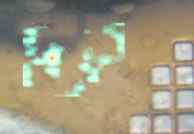 Grid Scan from in Cellulo Data Collection