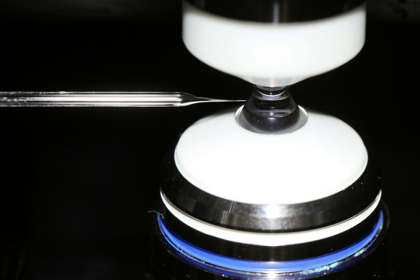 Optical Imaging Tool to Visualize Surface Chemistry in Real Time (1 of 2)