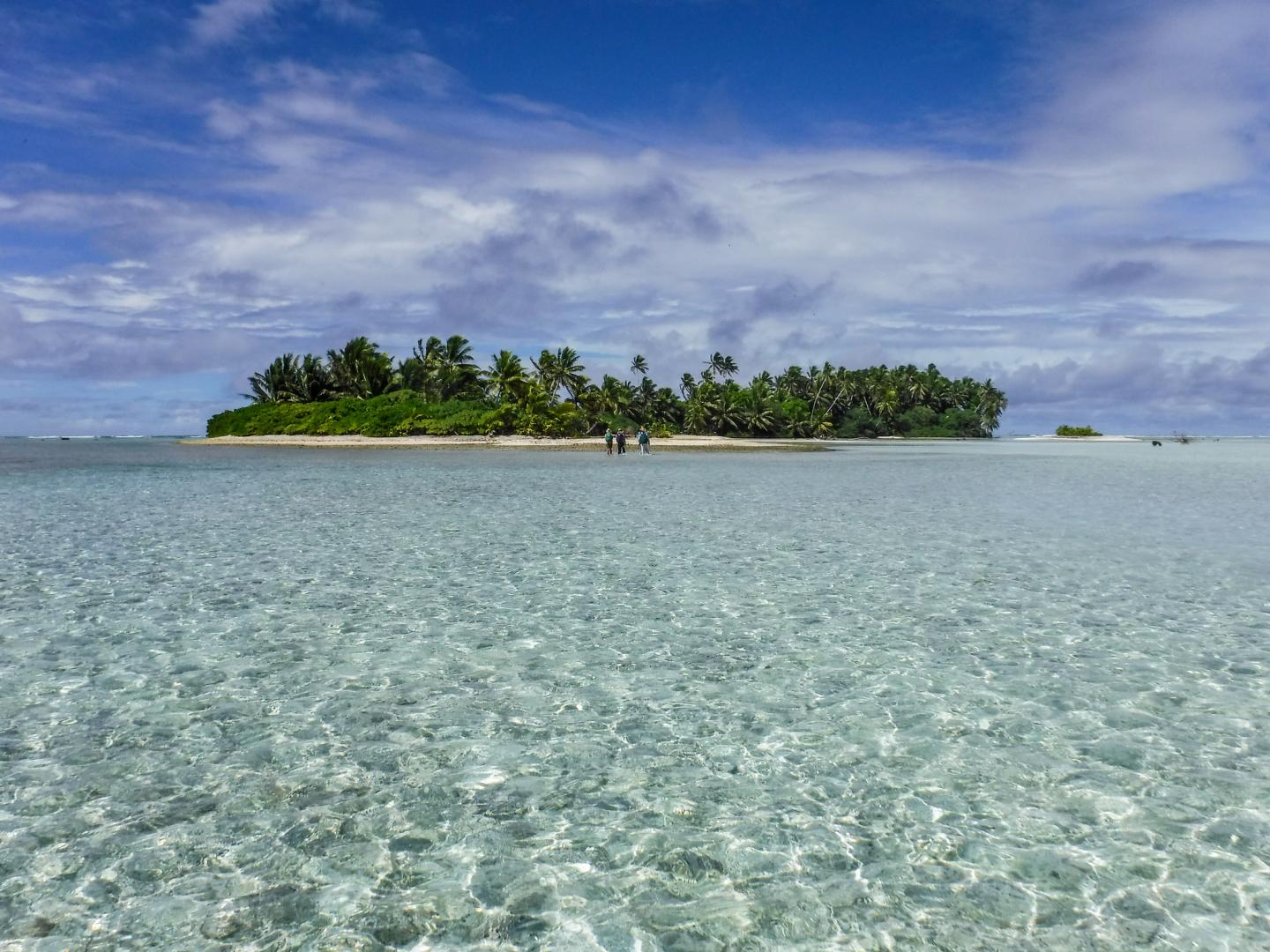 One of Palmyra Atoll's 25 islets