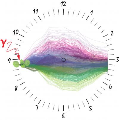 Law PNAS Graphical Abstract