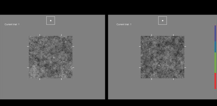 2D and 3D Localization Displays