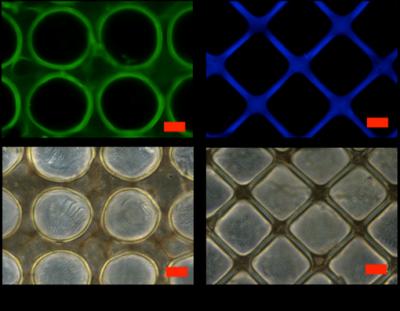 Microfabrication Techniques