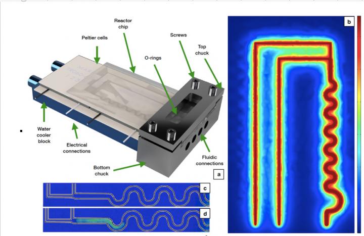 Schematic of Microreactor and Reaction Space