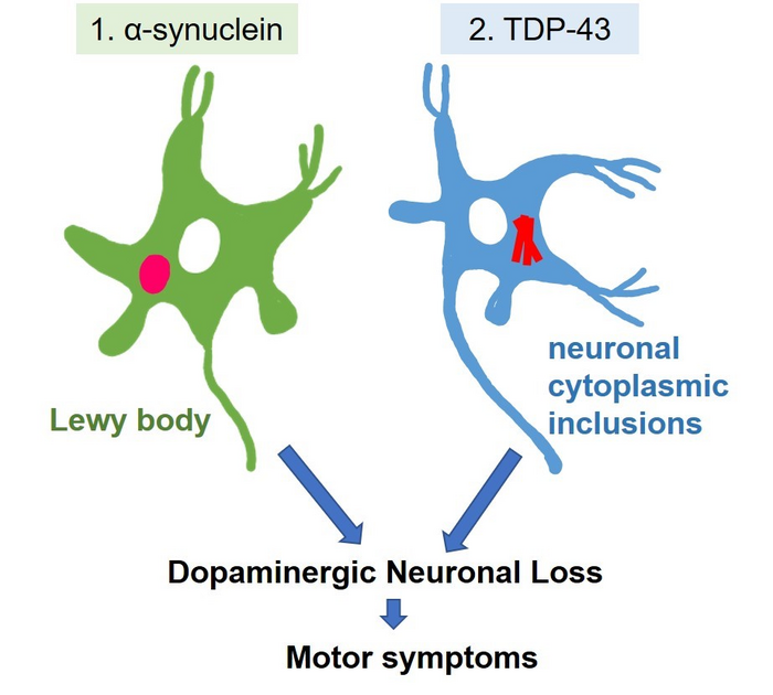 Figure1