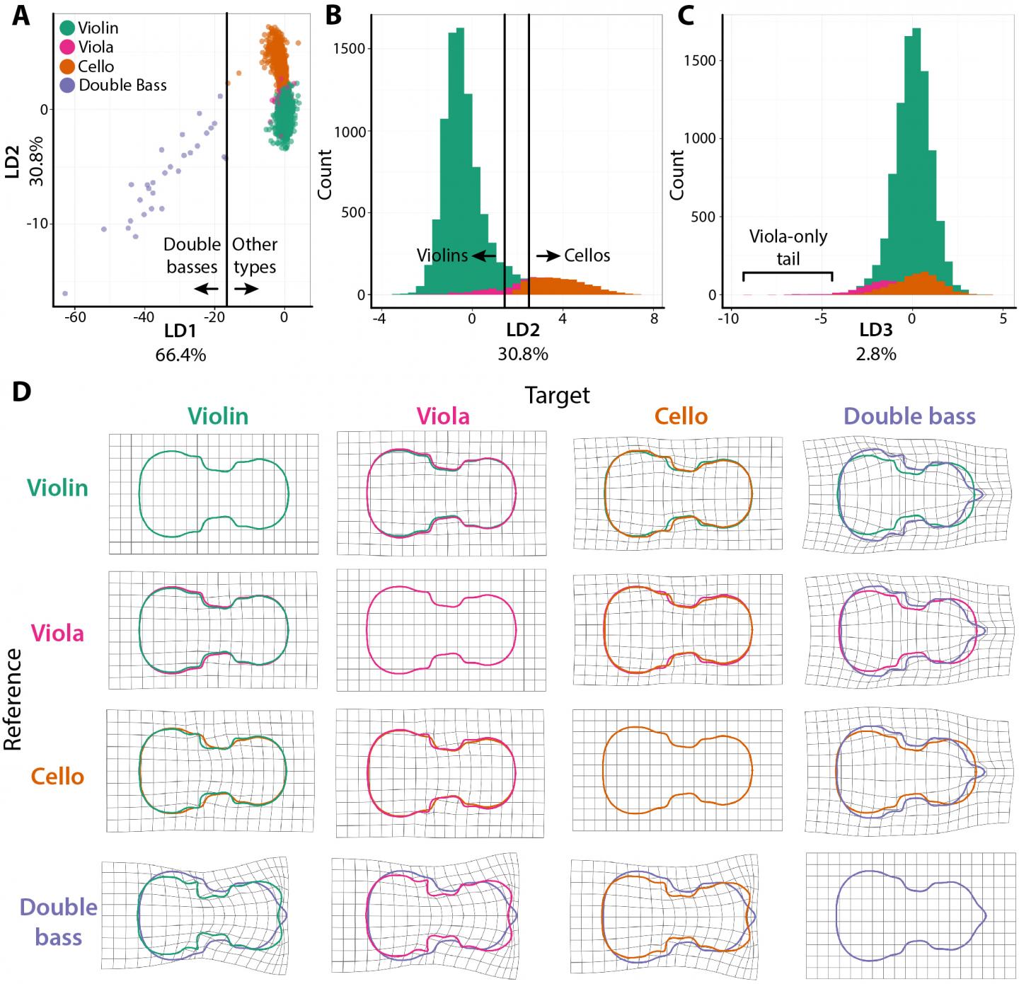 Plant/Violin Comparison