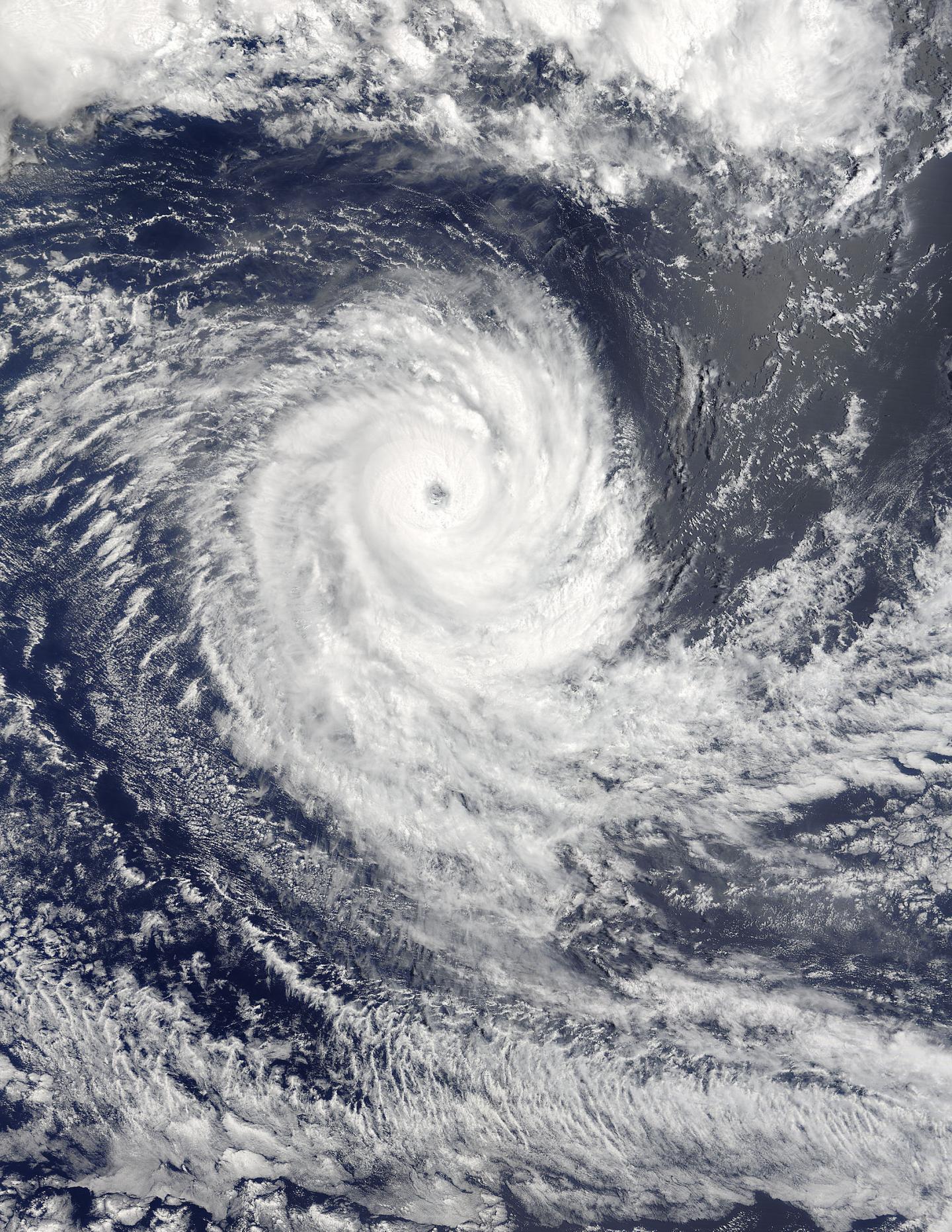 Terra Image of Uriah