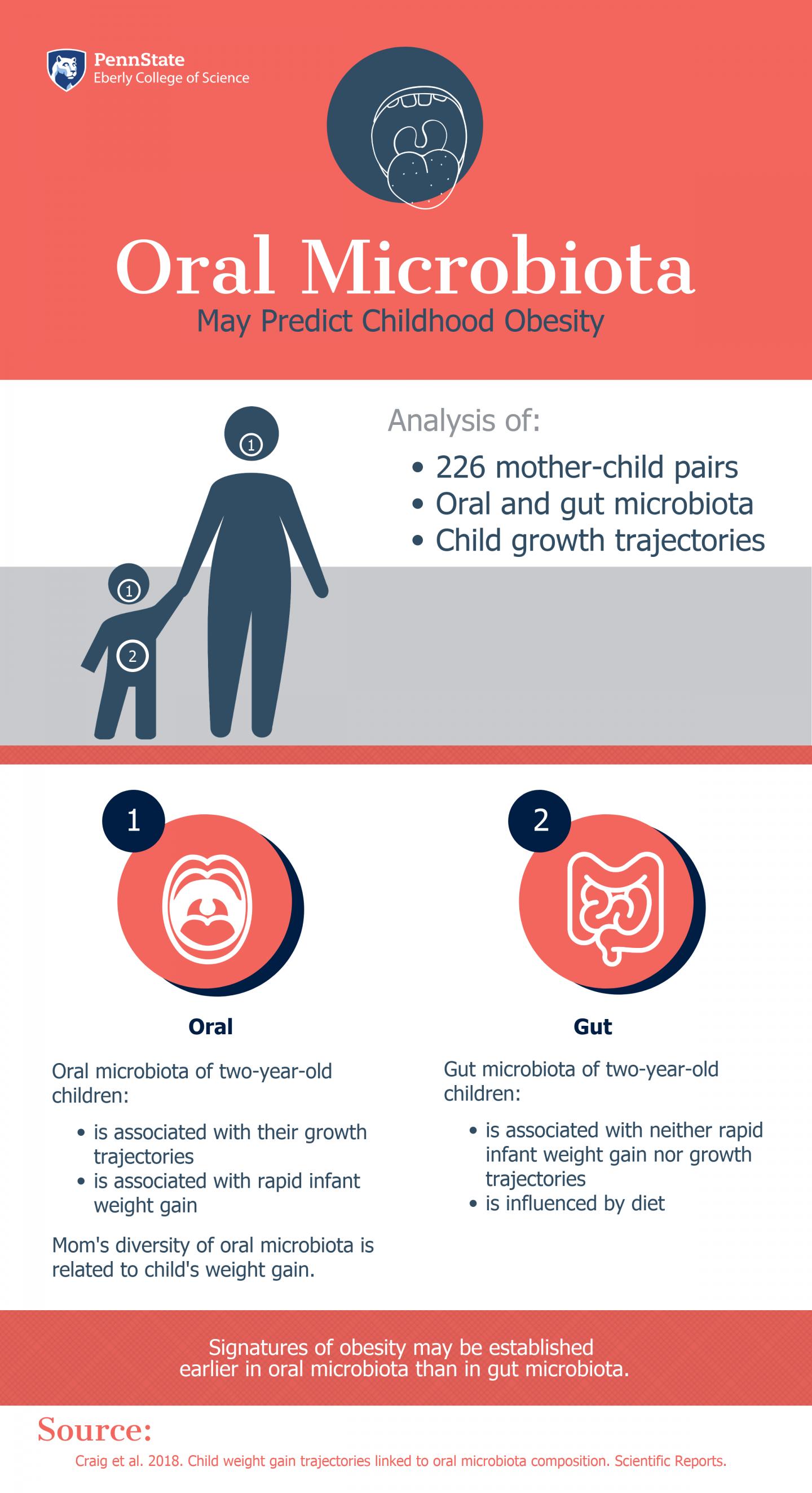 Gut Microbiota Graphic