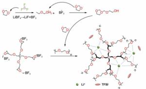 reaction path Li et al