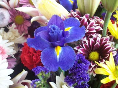 Market Flowers